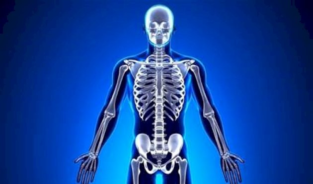 للحفاظ-على-صحة-"العظام".-خبر-مهم-جداً