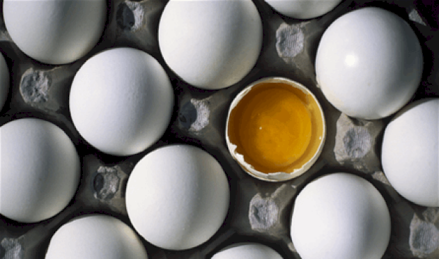 البيض وصحة الإنسان.. علاقة غذائية قوية البيض-وصحة-الإنسان.-علاقة-غذائية-قوية