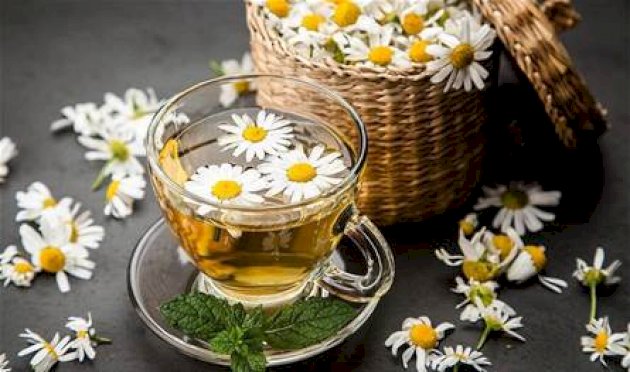 تحسّن-النوم-وتخفض-ضغط-الدم.-فوائد-رائعة-لعشبة-البابونج