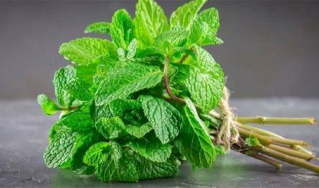 التركيب الغذائي للنعناع وأهم عناصره التركيب-الغذائي-للنعناع-وأهم-عناصره
