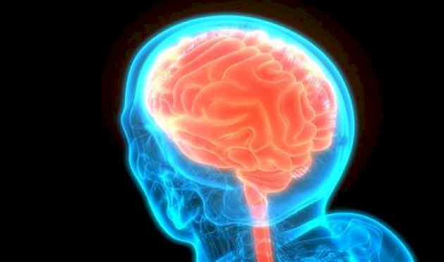 تحذير-من-العلماء.-هذا-ما-يفعله-الأرق-بالدماغ