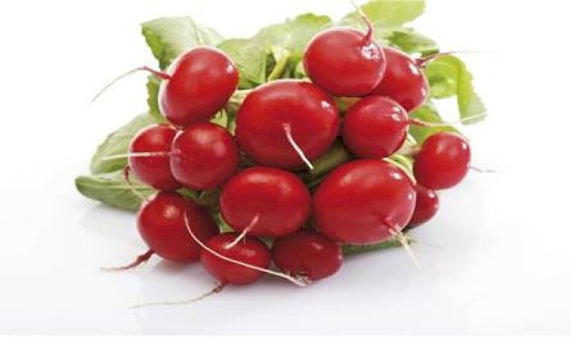 فوائد-مذهلة-للفجل…-من-دعم-الكبد-إلى-خفض-ضغط-الدم