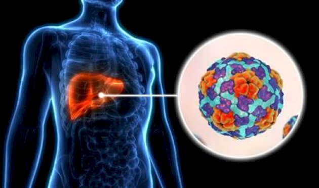 فيروس A يضرب أحد نجوم الكرة.. ما هو وما هي أعراضه؟ فيروس-a-يضرب-أحد-نجوم-الكرة.-ما-هو-وما-هي-أعراضه؟