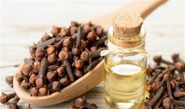 ماذا-يحدث-لجسمك-عند-شرب-ماء-القرنفل-يوميًا؟