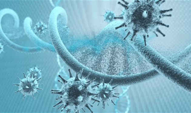 في-مصر…-فيروس-يُقفل-صفاً-في-مدرسة