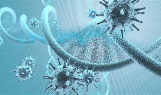 أطباء-مصريون-يكشفون-خطورة-فيروس-"hfmd"