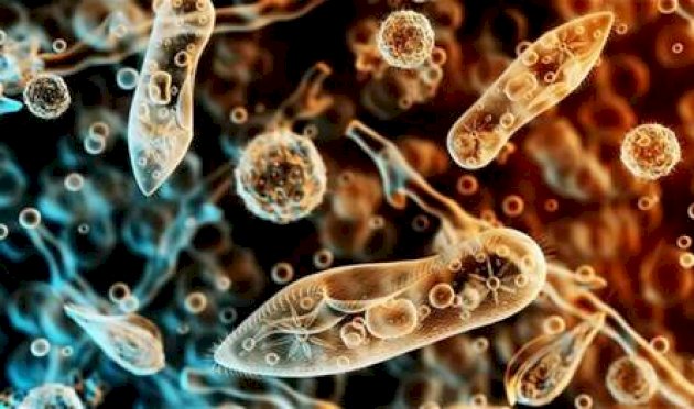 عمرها 40 ألف عام.. ميكروبات تهدد البشر عمرها-40-ألف-عام.-ميكروبات-تهدد-البشر