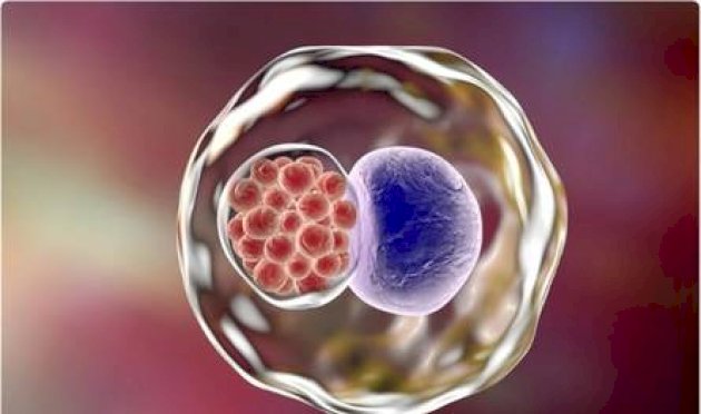 الكلاميديا.-العدوى-الصامتة-التي-تهدد-الخصوبة-ولا-أعراض