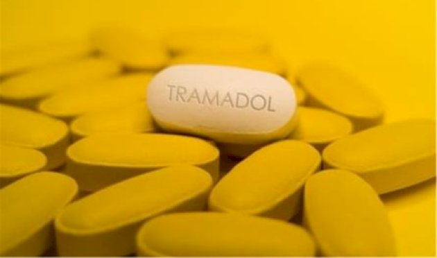 لمن يتناول دواء "ترامادول".. أمور يجب معرفتها لمن-يتناول-دواء-"ترامادول".-أمور-يجب-معرفتها