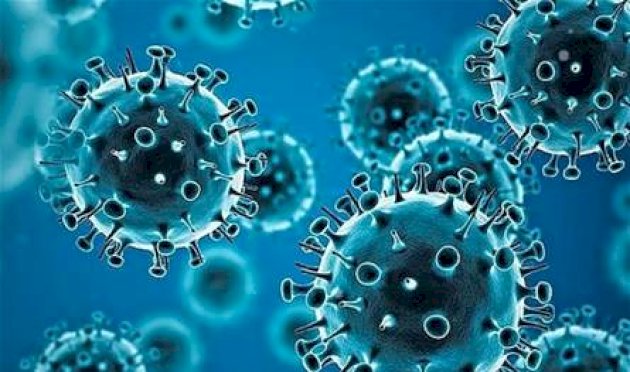 في-ألمانيا.-رصد-مليار-يورو-لمكافحة-الإيدز-والسل-والملاريا