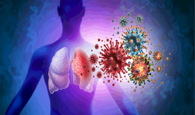 جائحة جديدة قد تضرب الصين.. مخاوف من متحور خطير من "الانفلونزا" جائحة-جديدة-قد-تضرب-الصين.-مخاوف-من-متحور-خطير-من-"الانفلونزا"