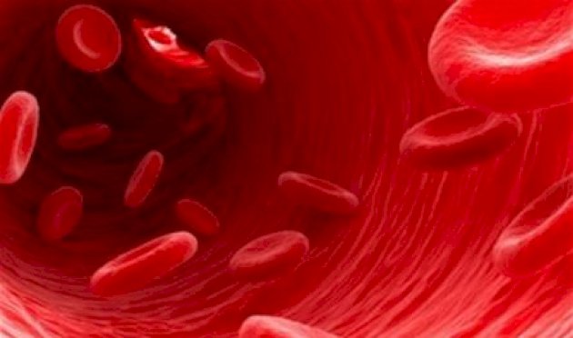 طريقة جديدة لتجديد خلايا الدم.. إليكم هذه الدراسة طريقة-جديدة-لتجديد-خلايا-الدم.-إليكم-هذه-الدراسة