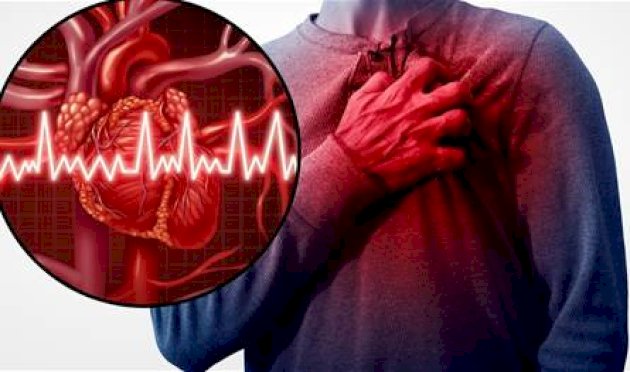 وداعًا لقوائم الانتظار… القلب الجديد يولد من المريض نفسه! وداعًا-لقوائم-الانتظار…-القلب-الجديد-يولد-من-المريض-نفسه!