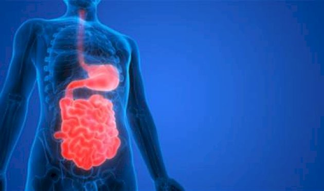 احذروها.. عادة شائعة تعيق الهضم الطبيعي احذروها.-عادة-شائعة-تعيق-الهضم-الطبيعي