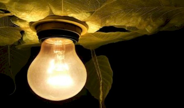 هل يزيد الضوء الصناعي ليلا من خطر الإصابة بأمراض القلب؟ هل-يزيد-الضوء-الصناعي-ليلا-من-خطر-الإصابة-بأمراض-القلب؟