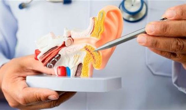 السمنة-قد-تزيد-خطر-الإصابة-بطنين-الأذن.-هذا-ما-كشفته-آخر-الدراسات