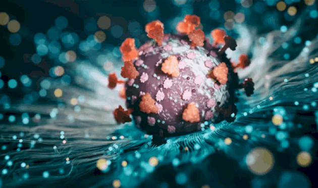 دراسة جديدة عن "كورونا"… فئتان تُواجهان خطراً كبيراً بعد الإصابة بالفيروس دراسة-جديدة-عن-"كورونا"…-فئتان-تُواجهان-خطراً-كبيراً-بعد-الإصابة-بالفيروس