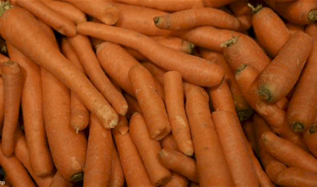 هل يسبب الجزر السكري؟ هل-يسبب-الجزر-السكري؟