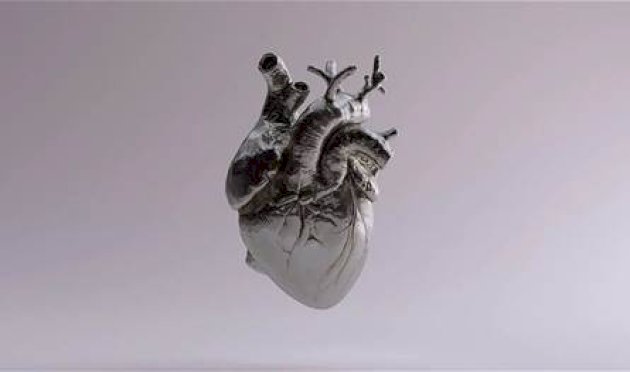 لعلاج-تلف-القلب.-علماء-يبتكرون-خلايا-جذعية-قابلة-للطي