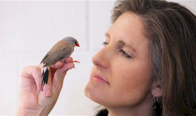 تغريد-الطيور…-علاج-طبيعي-يفوق-اليوغا-في-تخفيف-الإكتئاب