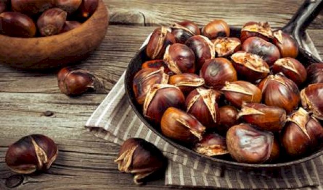 لماذا-ينصح-الأطباء-بالكستناء؟-الإجابة-في-فوائدها-المتعددة