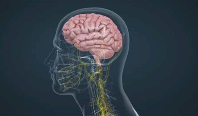 دراسة-جديدة-تكشف-مفاجأة-عن-مرض-الزهايمر…-إليكم-التفاصيل