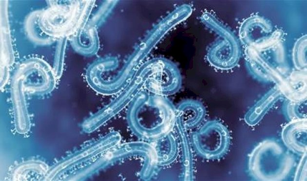 دولة عربيّة تتأهب لمُواجهة فيروس خطير! دولة-عربيّة-تتأهب-لمُواجهة-فيروس-خطير!