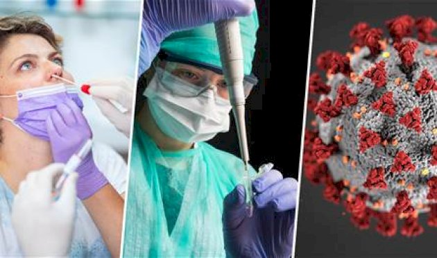 تحقيق بريطاني: آلاف الوفيات بكورونا كان يمكن إنقاذها… والإغلاق كان نتيجة فشل حكومي تحقيق-بريطاني:-آلاف-الوفيات-بكورونا-كان-يمكن-إنقاذها…-والإغلاق-كان-نتيجة-فشل-حكومي