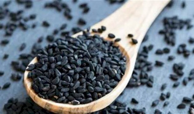 دراسة يابانية: حبة البركة تخفّض الدهون في الدم بشكل لافت دراسة-يابانية:-حبة-البركة-تخفّض-الدهون-في-الدم-بشكل-لافت