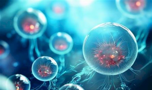 استراتيجية فعالة لتجديد خلايا الدم ومكافحة الشيخوخة.. ما هي؟ استراتيجية-فعالة-لتجديد-خلايا-الدم-ومكافحة-الشيخوخة.-ما-هي؟