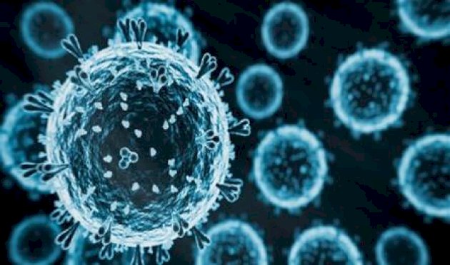 هل-ينتقل-فيروس-"إنفلونزا"-الطيور-المتحوّر-إلى-البشر؟