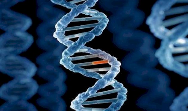 في دراسة جديدة… اكتشاف صلة بين طفرات بروتينية وأمراض تهدد الحياة! في-دراسة-جديدة…-اكتشاف-صلة-بين-طفرات-بروتينية-وأمراض-تهدد-الحياة!