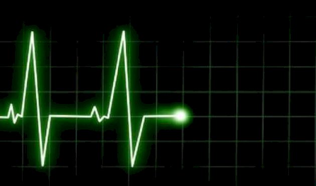 أُصيب بنوع نادر من مرض السرطان… وفاة ممثل أميركيّ شهير (صورة) أُصيب-بنوع-نادر-من-مرض-السرطان…-وفاة-ممثل-أميركيّ-شهير-(صورة)