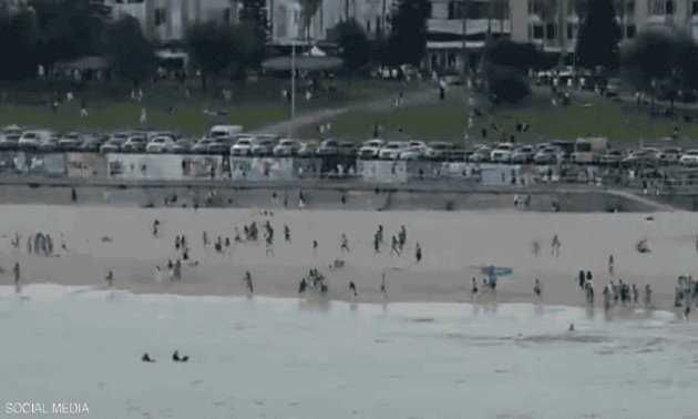 اعتقال 7 أشخاص في سيدني على صلة بهجوم بوندي اعتقال-7-أشخاص-في-سيدني-على-صلة-بهجوم-بوندي