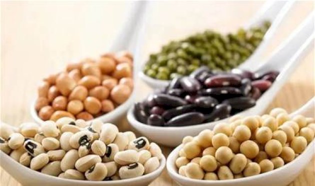 أطعمة-غنية-بالزنك-تقوي-جهازك-المناعي-في-فصل-الشتاء