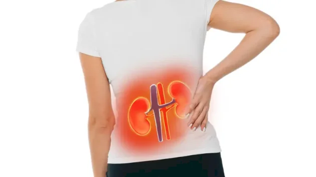 الذكاء-الاصطناعي-يكشف-سرطان-الكلى-في-وقت-قياسي