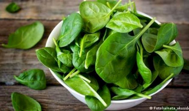 فوائد-مذهلة-للسبانخ.-اكتشفها!