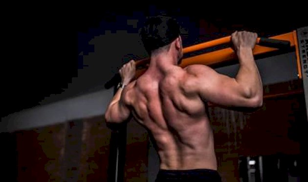 البروتين-أم-الكرياتين.-أي-مكمل-غذائي-الأنسب-لبناء-العضلات؟