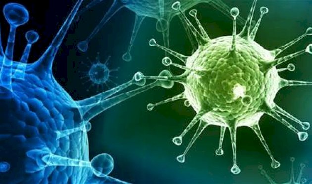 هل سلالة "الإنفلونزا" الجديدة تُهدّد بظهور جائحة؟ هل-سلالة-"الإنفلونزا"-الجديدة-تُهدّد-بظهور-جائحة؟