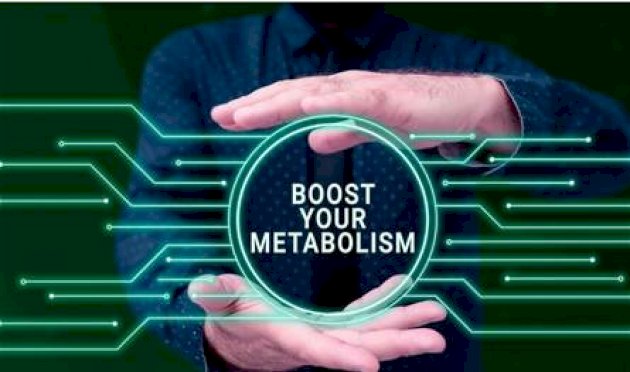 من دون آثار جانبية خطيرة.. آلية خلوية جديدة تسرّع حرق الطاقة! من-دون-آثار-جانبية-خطيرة.-آلية-خلوية-جديدة-تسرّع-حرق-الطاقة!