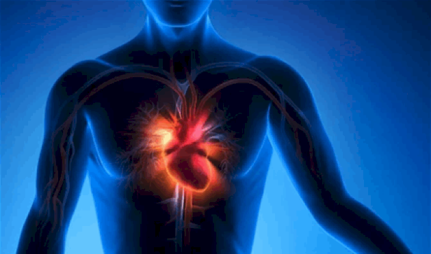 أعراض متفرقة قد تُخفي خطراً.. إشارات التهاب عضلة القلب أعراض-متفرقة-قد-تُخفي-خطراً.-إشارات-التهاب-عضلة-القلب