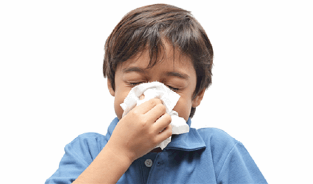 في-موسم-الانفلونزا.-أطعمة-تُسرّع-التعافي-فما-هي؟