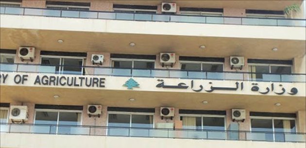 “الزراعة” تكشف حصيلة ضبط المخالفات الحرجية في 2025 “الزراعة”-تكشف-حصيلة-ضبط-المخالفات-الحرجية-في-2025