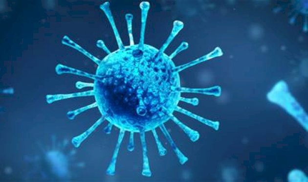 دولة تحت وطأة هذه الفيروسات.. والوفيات تتصاعد بسرعة! دولة-تحت-وطأة-هذه-الفيروسات.-والوفيات-تتصاعد-بسرعة!