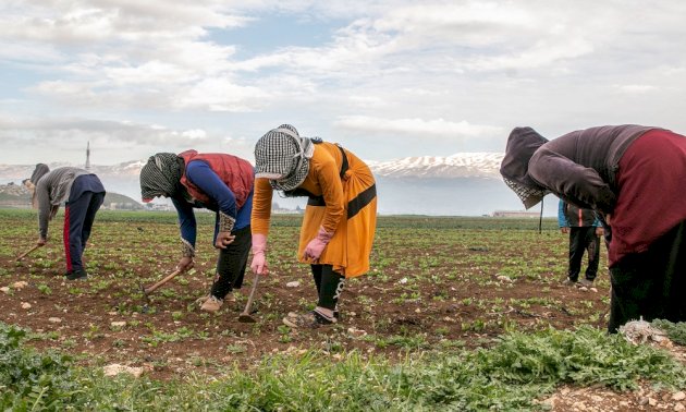 المؤسّسات-الإنتاجية-تطالب-بتنظيم-العمالة-السورية
