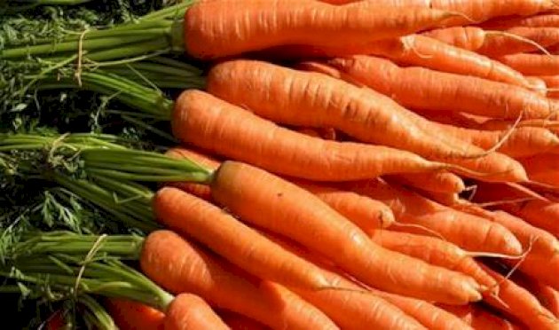 هل يساعد الجزر على النوم؟ هل-يساعد-الجزر-على-النوم؟