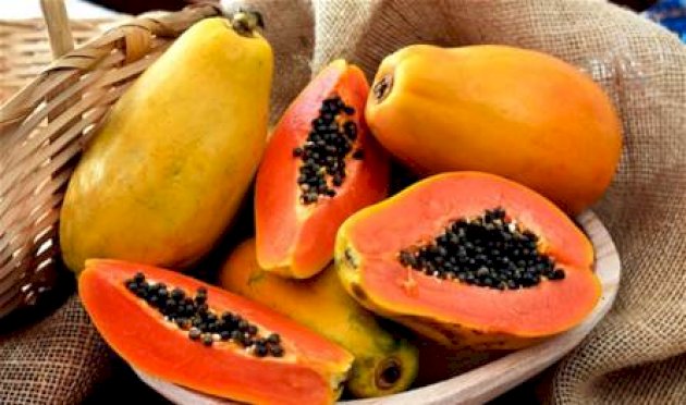 البابايا في الحمل.. فوائد ومخاطر يجب معرفتها البابايا-في-الحمل.-فوائد-ومخاطر-يجب-معرفتها