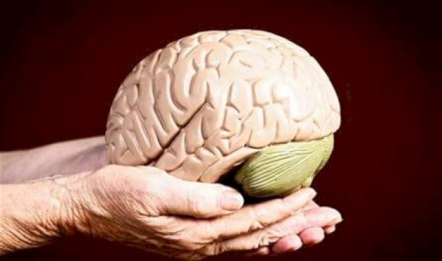 وصفة علمية بسيطة للحد من شيخوخة الدماغ والحفاظ على القدرات الإدراكية… اتبعها! وصفة-علمية-بسيطة-للحد-من-شيخوخة-الدماغ-والحفاظ-على-القدرات-الإدراكية…-اتبعها!