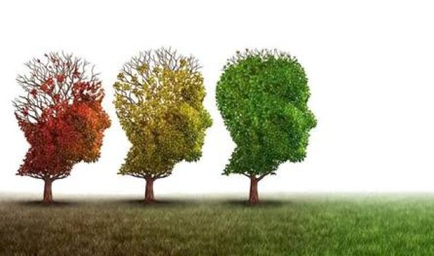 على 4 مراحل عمرية… بحسب العلماء الدماغ يعيد تشغيل نفسه على-4-مراحل-عمرية…-بحسب-العلماء-الدماغ-يعيد-تشغيل-نفسه