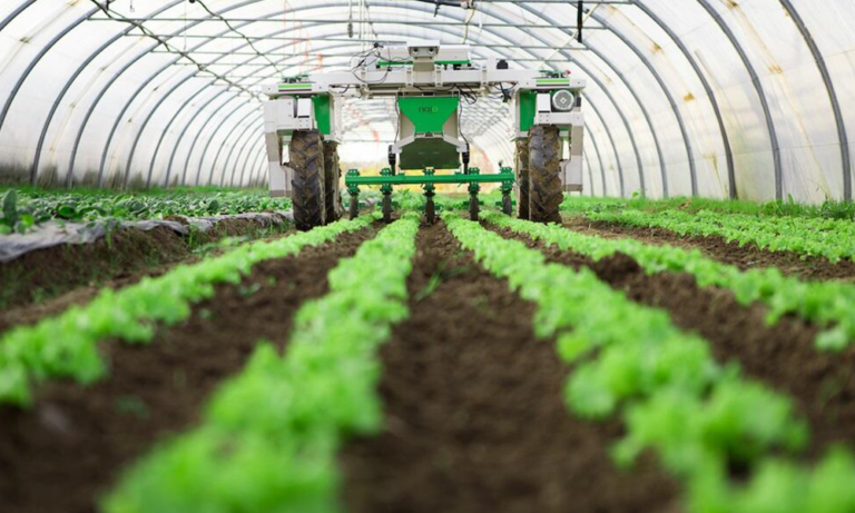 وزارة الزراعة: نتائج تؤكد رصد نمط SAT1 من الحمى القلاعية دخل لبنان وزارة-الزراعة:-نتائج-تؤكد-رصد-نمط-sat1-من-الحمى-القلاعية-دخل-لبنان